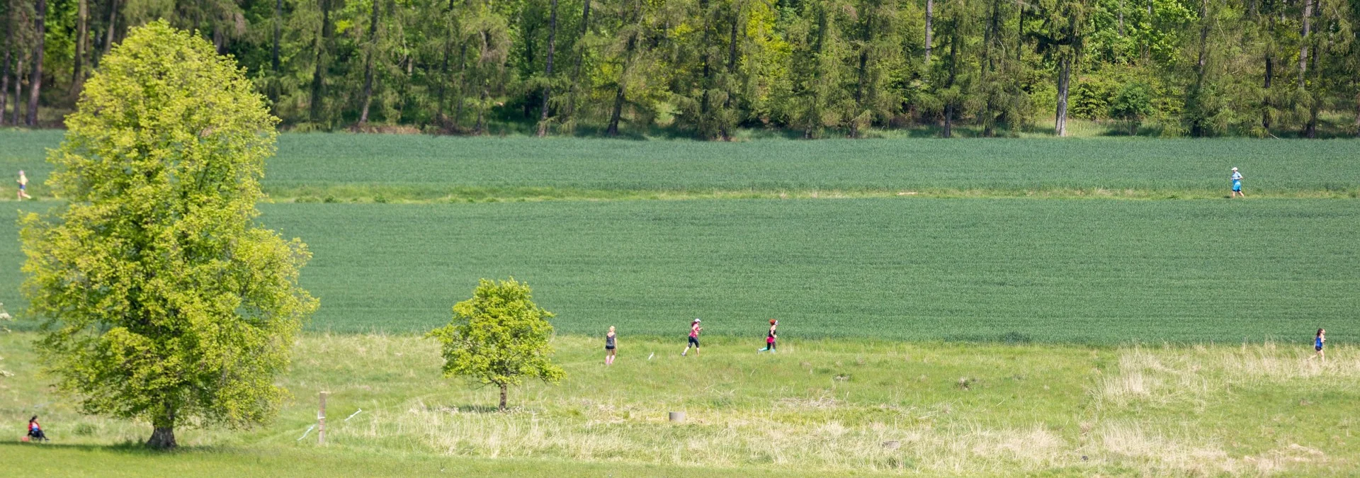 Krajina a louka jako úvod sportovní galerie